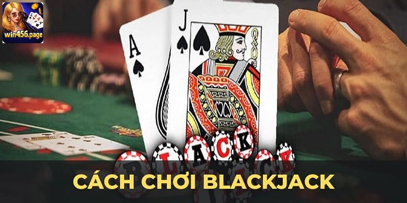 Blackjack 3D